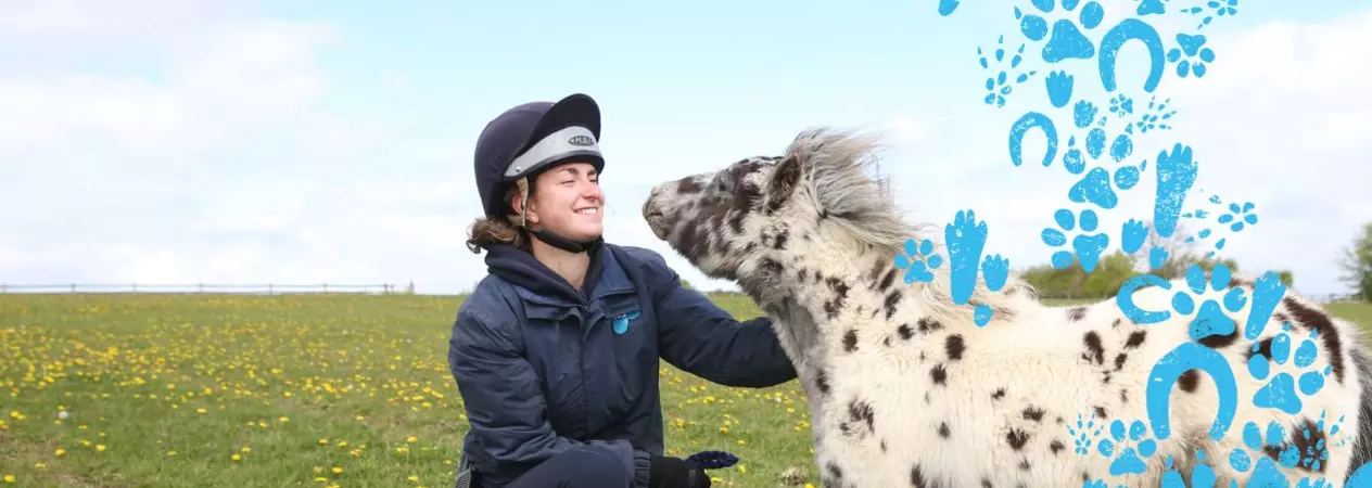 Small white horse with back markings being stroked by women in Blue Cross uniform in a green meadow