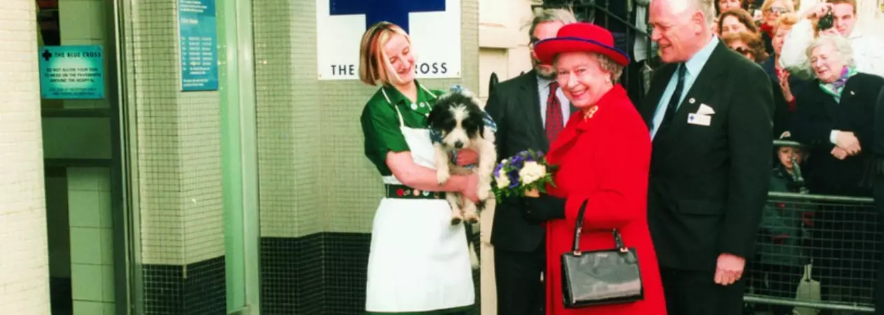 The Queen greets some of our Blue Cross team outside the doors of our London Victoria animal hospital
