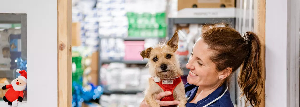 A female member of our Grimsby animal hospital team, holding a small terrier dog surrounded by piles of pet food