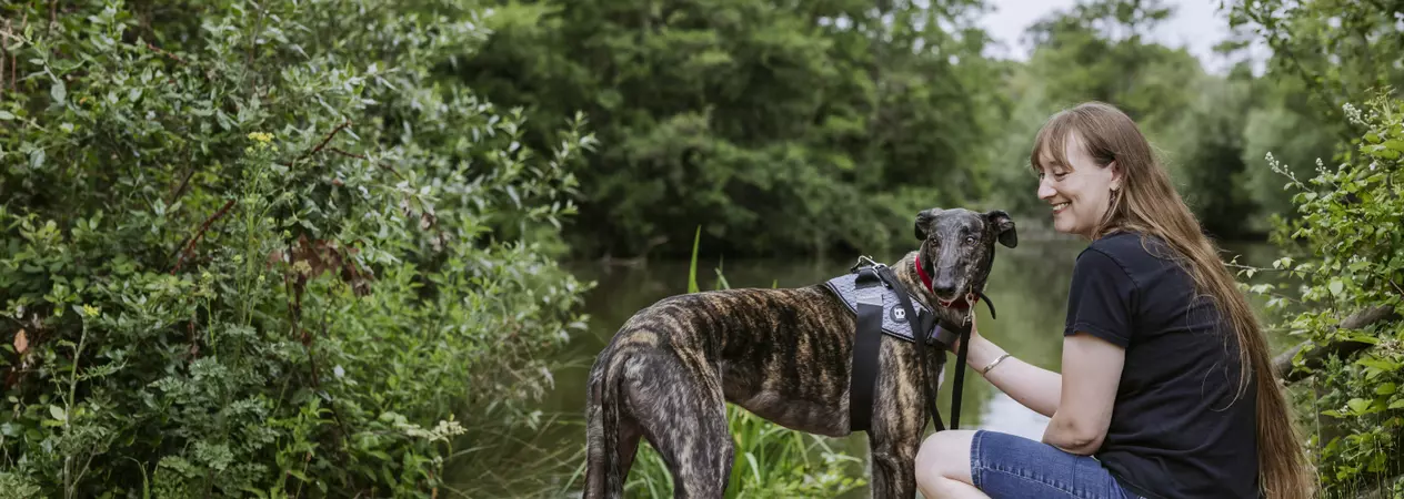 Kit gives greyhound Amos a fuss while on a walk next to a lake