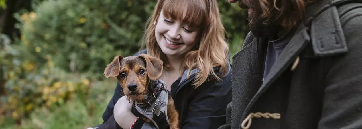 A small brown dog wearing a harness is held by their two owners.