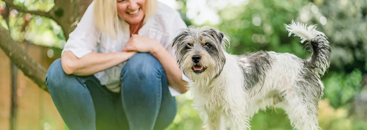 Grey and white dog Fidget standing outside in his garden with his owner