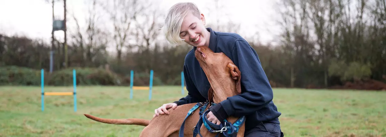 A Blue Cross volunteer plays with a brown dog in a paddock.