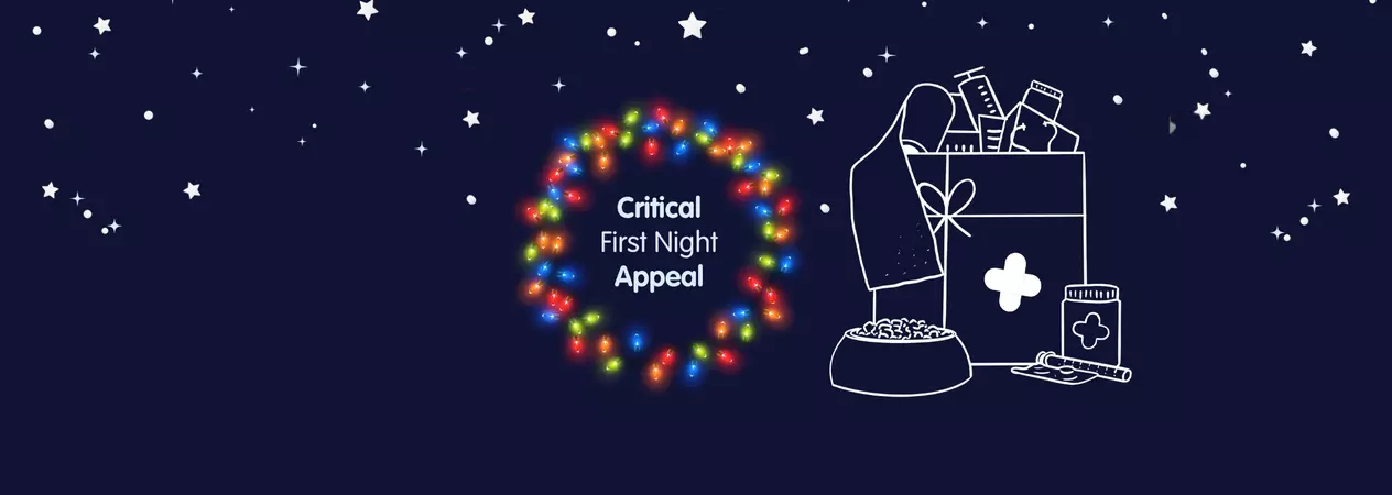 Blue Cross Christmas banner in dark blue. On the left is a circle of colourful fairy lights with the words 'Critical Frist Night Appeal' in the centre, and on the right is an illustration of a Critical Care box. Along the top of the banner there is falling snow and stars.