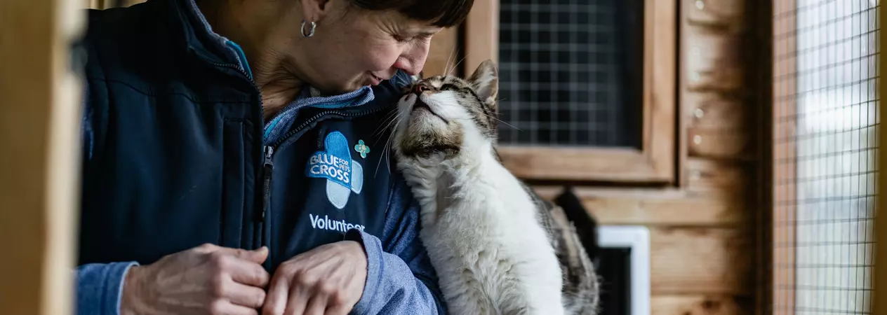A volunteer foster carer called Wendy affectionate touching noses with foster cat Matty, showing their lovely bond