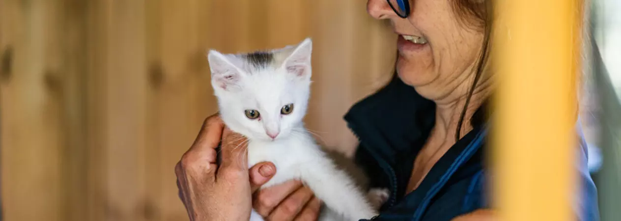 A person wearing glasses and a dark vest gently holds a small white kitten with a grey patch on its head, set against warm wooden paneling.