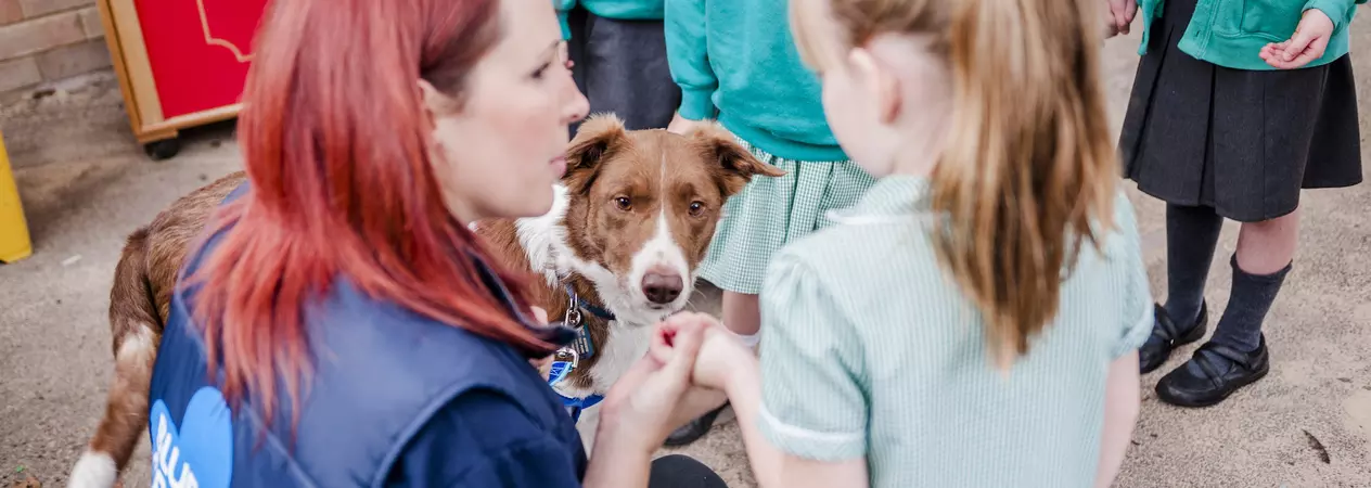 Dog Fenn at education talk at primary school