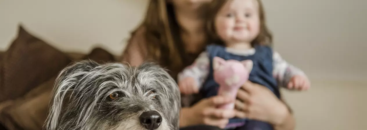 Dog and baby