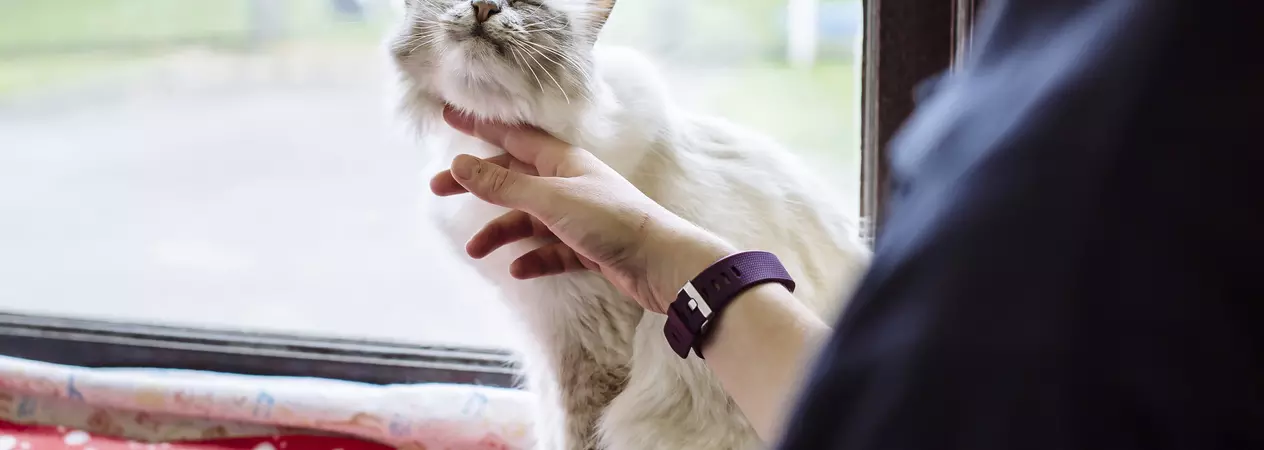 Muffin getting a fuss from someone at Blue Cross