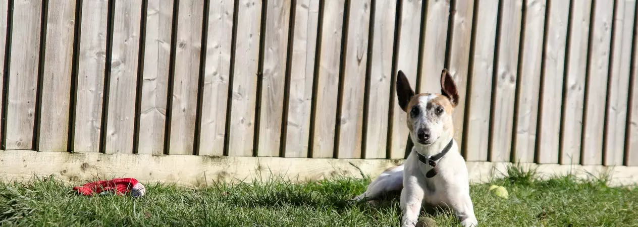 Ginny relaxing outside in the sunshine