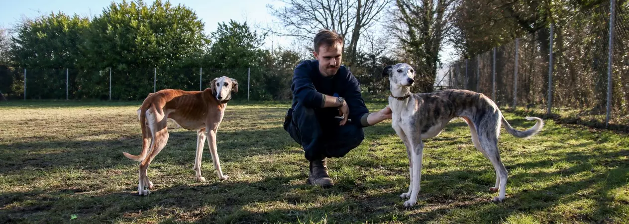 Max and Bella outdoors at our rehoming centre with Apprentice Animal Welfare Assistant Daniel Cairney
