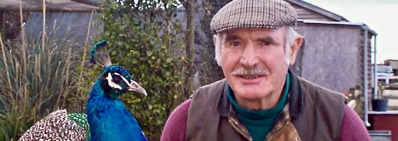 Mr Worrall with a peacock