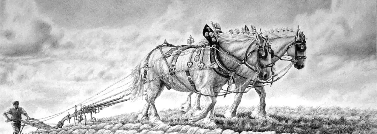 A drawing of a horse by Stephen Yorke