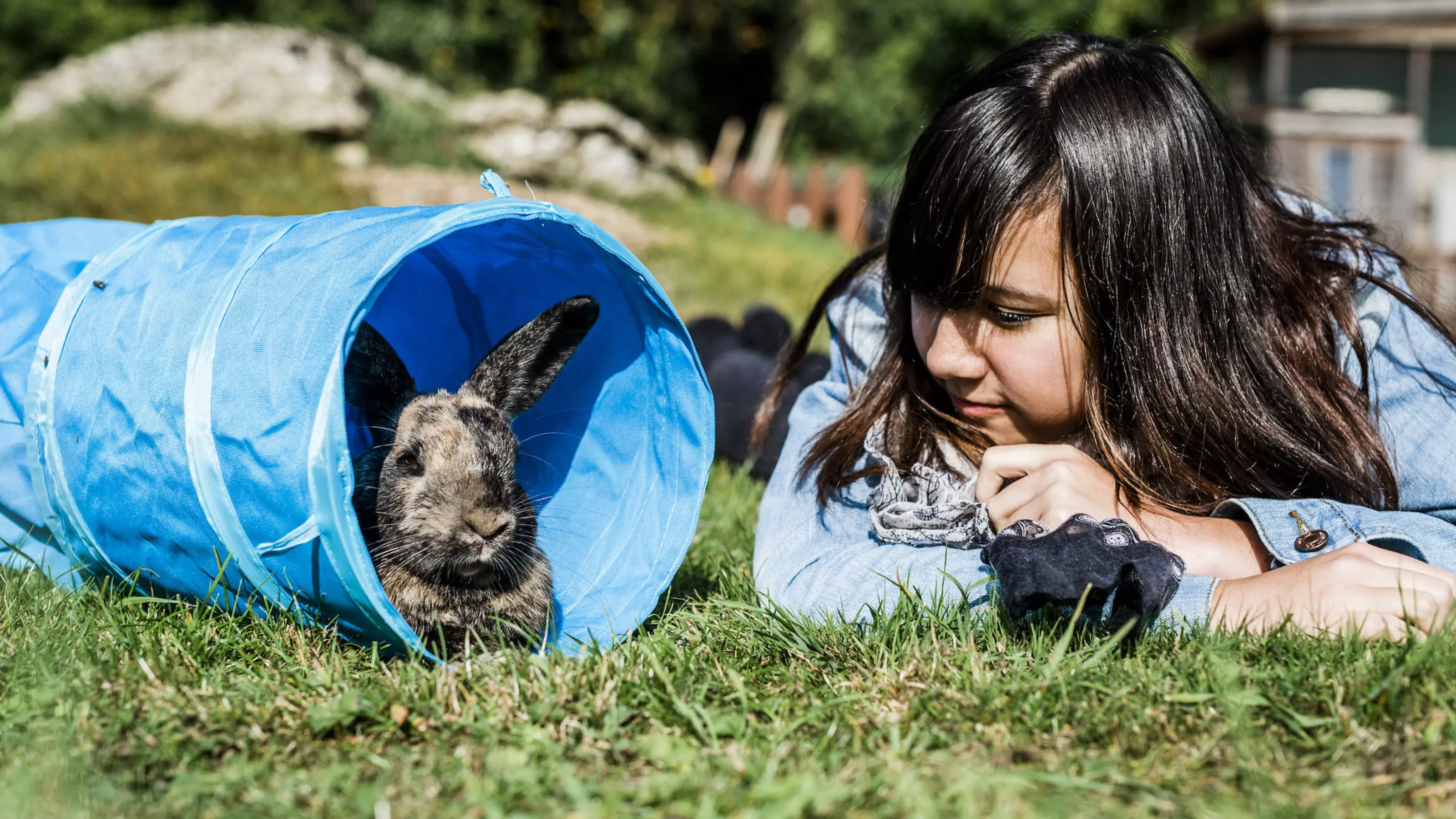 A young girl looks at a rabbit in a blue tunnel
