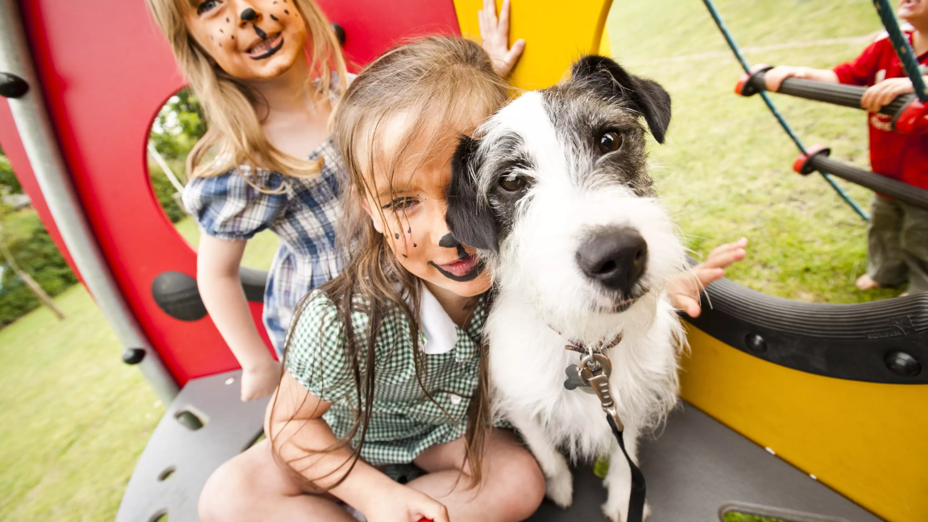 Jack russell looking into camera with two children with facepaint on behind them